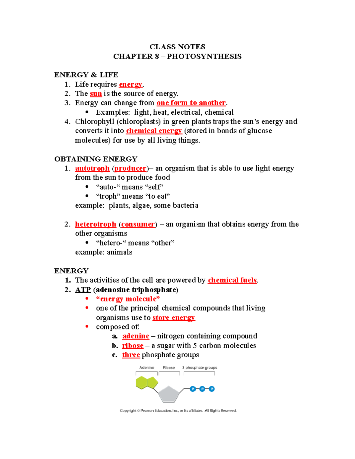 Photosynthesis - jnjk - CLASS NOTES CHAPTER 8 – PHOTOSYNTHESIS ENERGY ...
