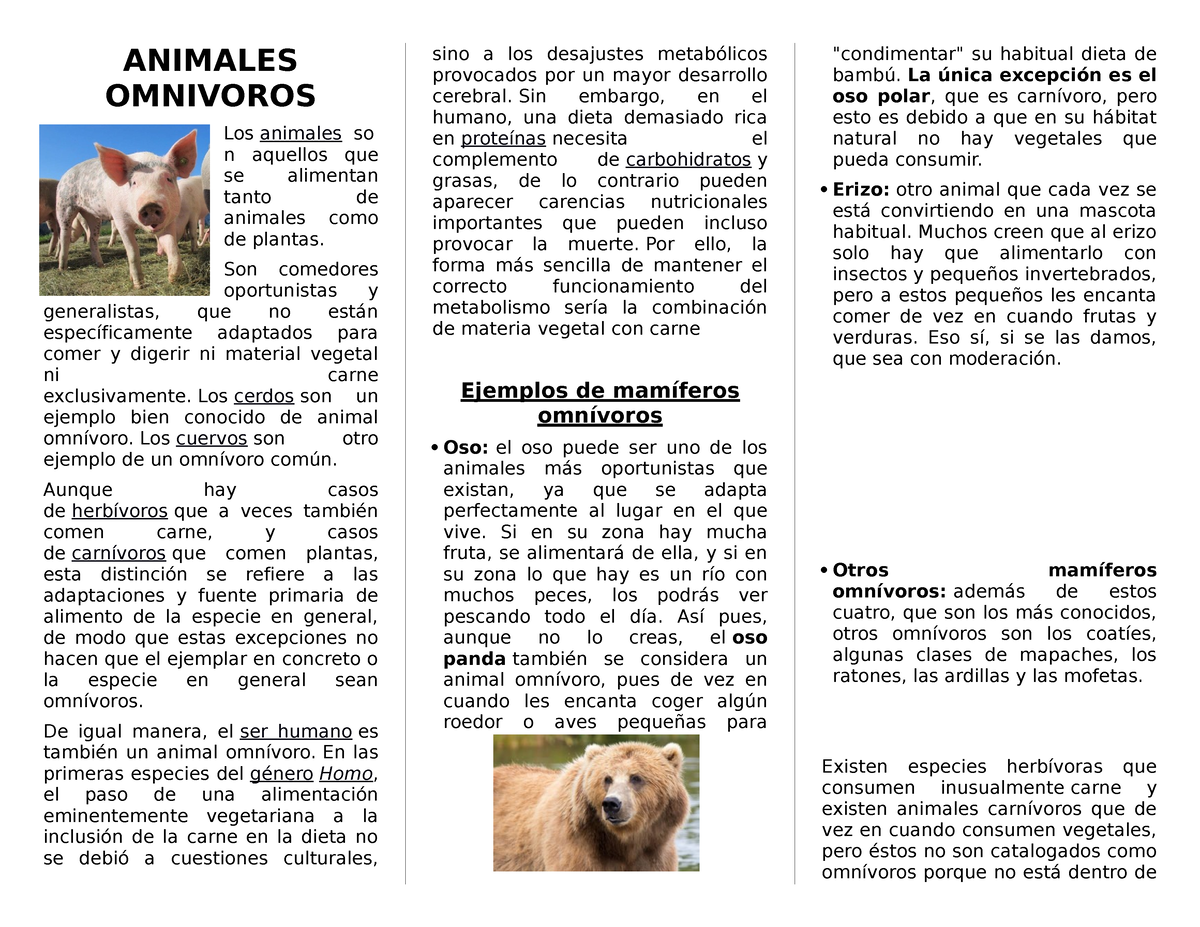 animales omnívoros