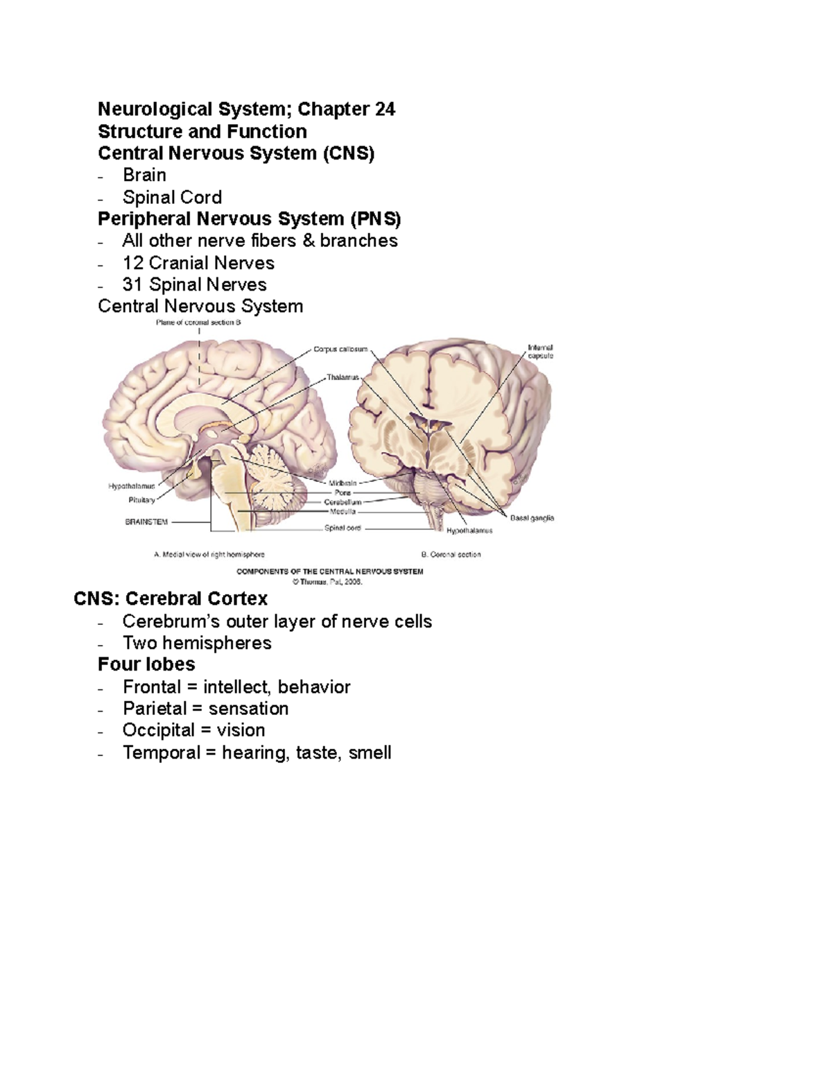 Neurological System Outline - Neurological System; Chapter 24 Structure ...