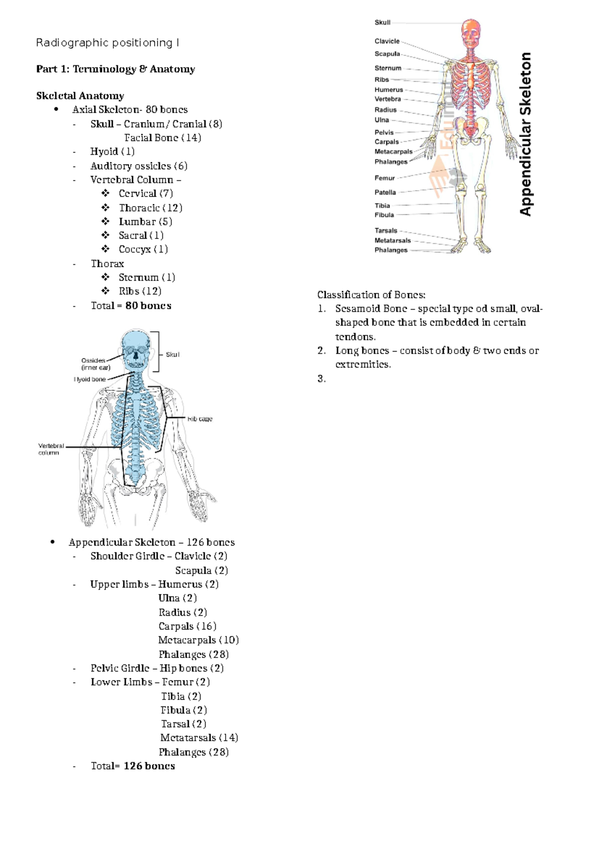Radiographic positioning I - Long bones – consist of body & two ends or ...