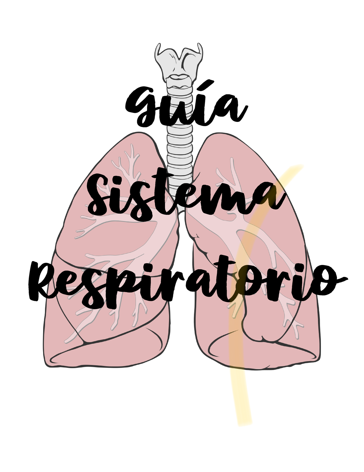 Guia Sistema Respiratorio - GuÌa Sistema Respiratorio GUIA SR P QUIZZES ...