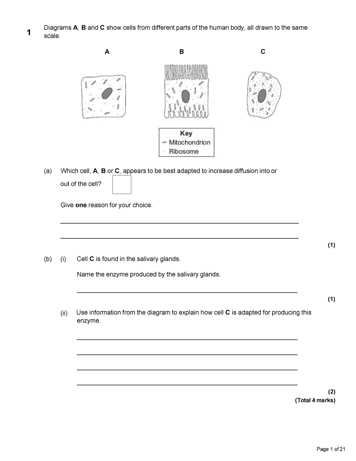 set-1-cell-biology-grades-7-9-diagrams-a-b-and-c-show-cells-from-different-parts-of-the