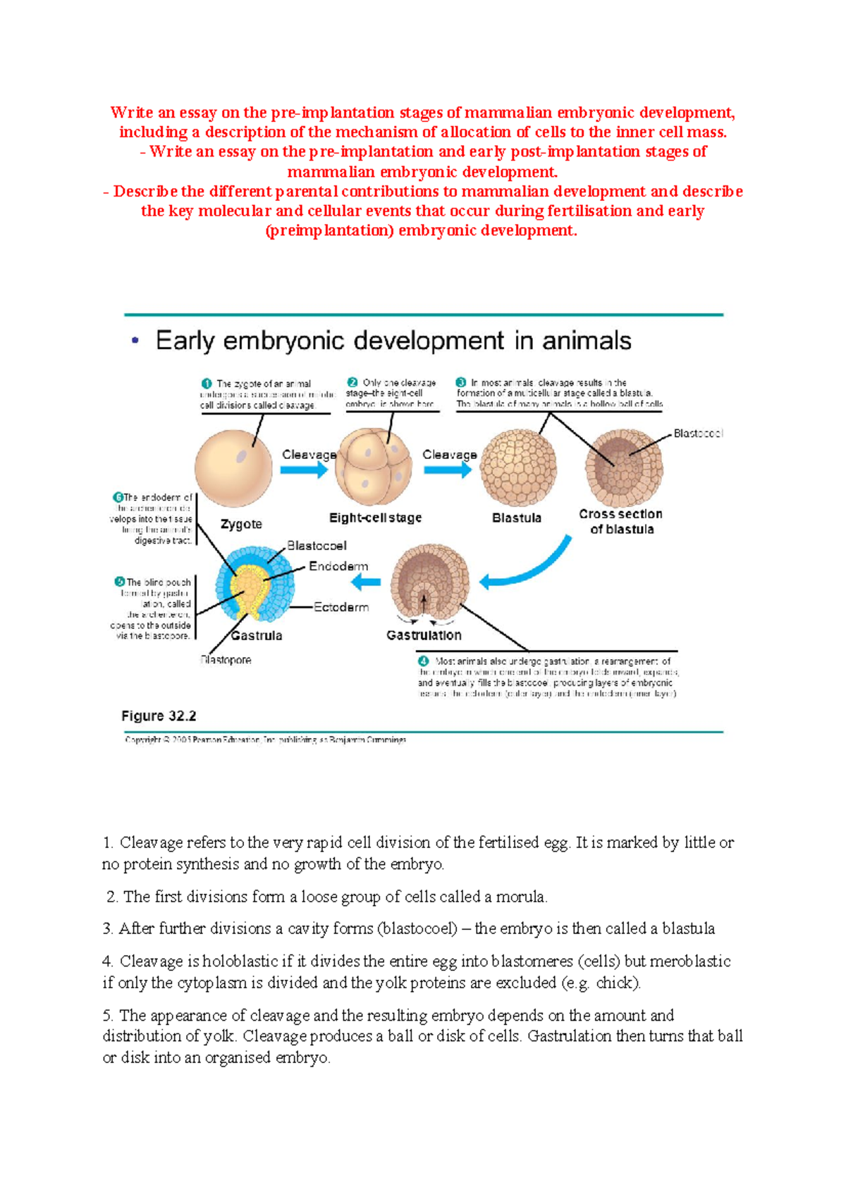 Pre-implantation stages - Write an essay on the pre-implantation and ...