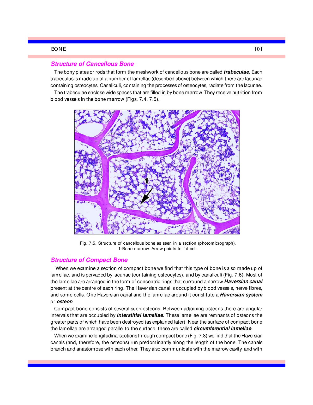 IB Singh - Textbook Of Human Histology, 6th Edition-13 - 3 3 11 12 14 ...