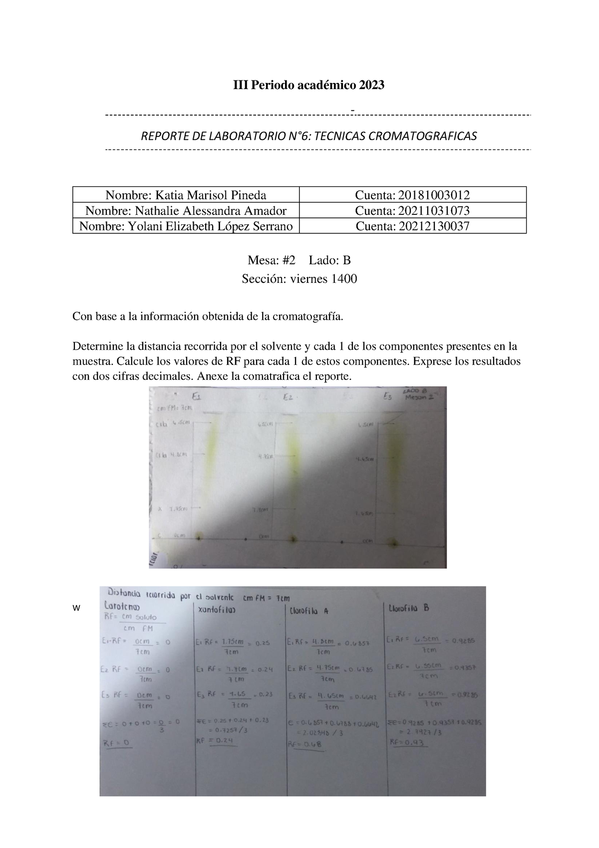 Reporte Tecnicas Cromatograficas Meson 2 Lado B - III Periodo Académico ...