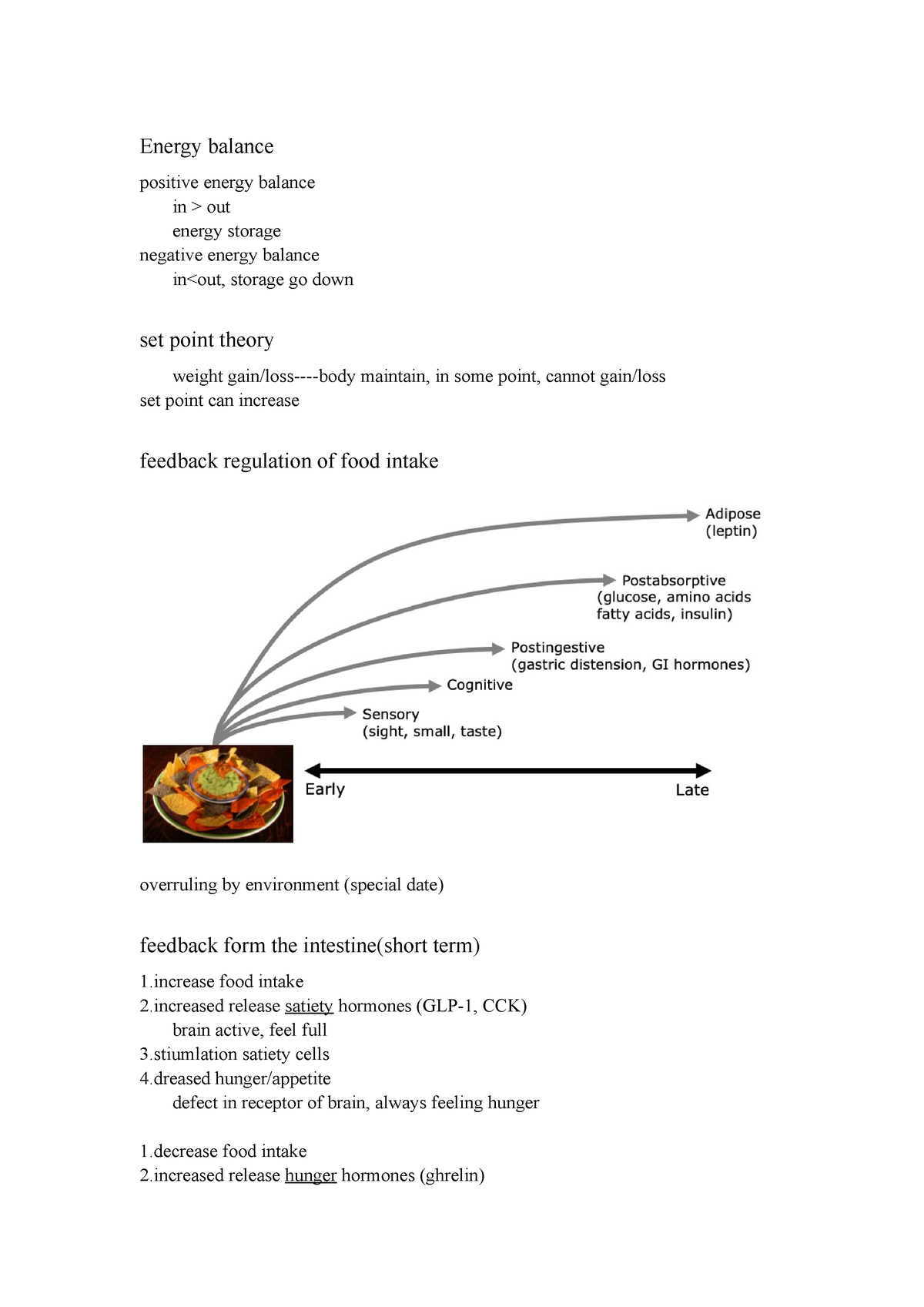 Energy Balance - Note - Energy Balance Positive Energy Balance In > Out ...