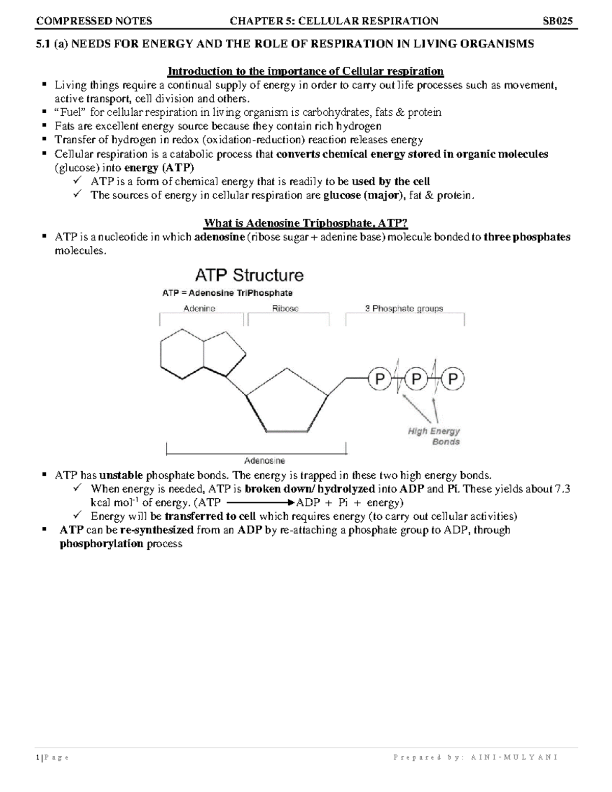 cellular-respiration-5-a-needs-for-energy-and-the-role-of