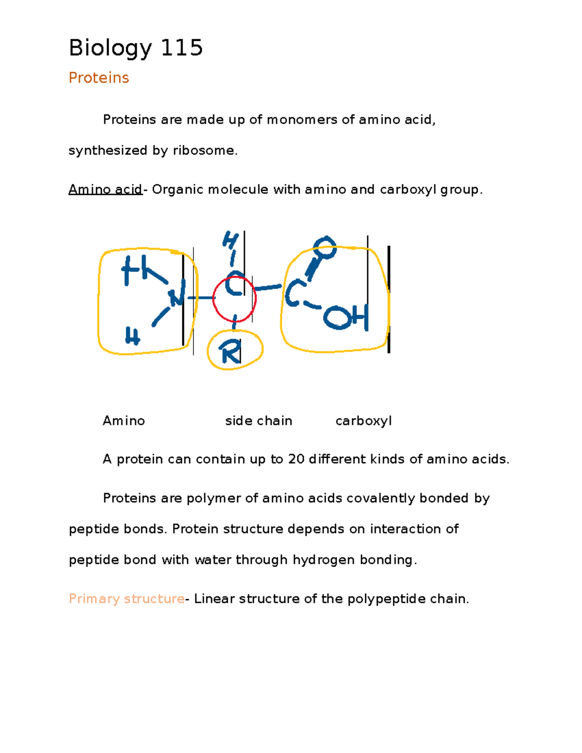 Biology note 2 Key points on biomolecules Proteins Proteins are