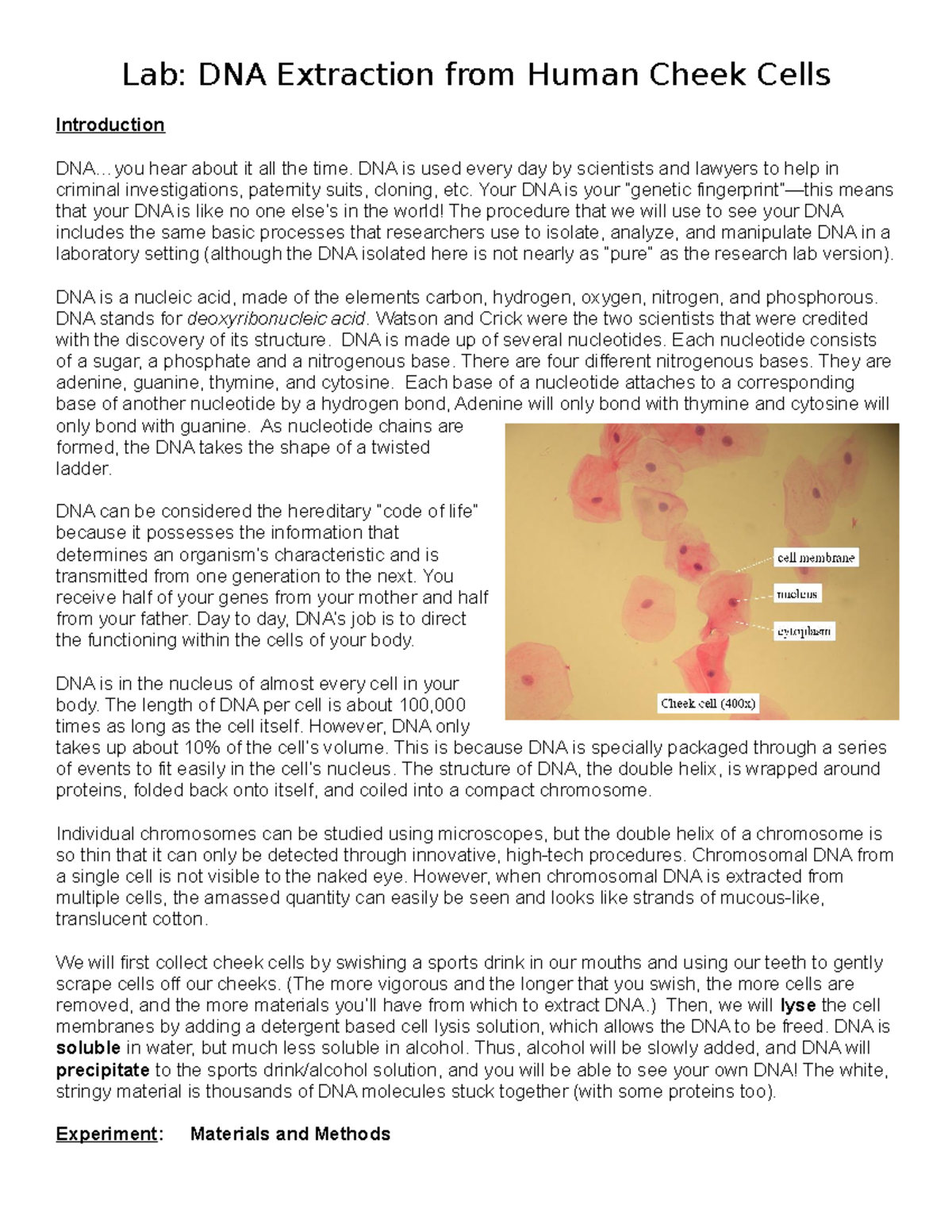 Dna from cheek cells Notes notes Lab DNA Extraction from Human