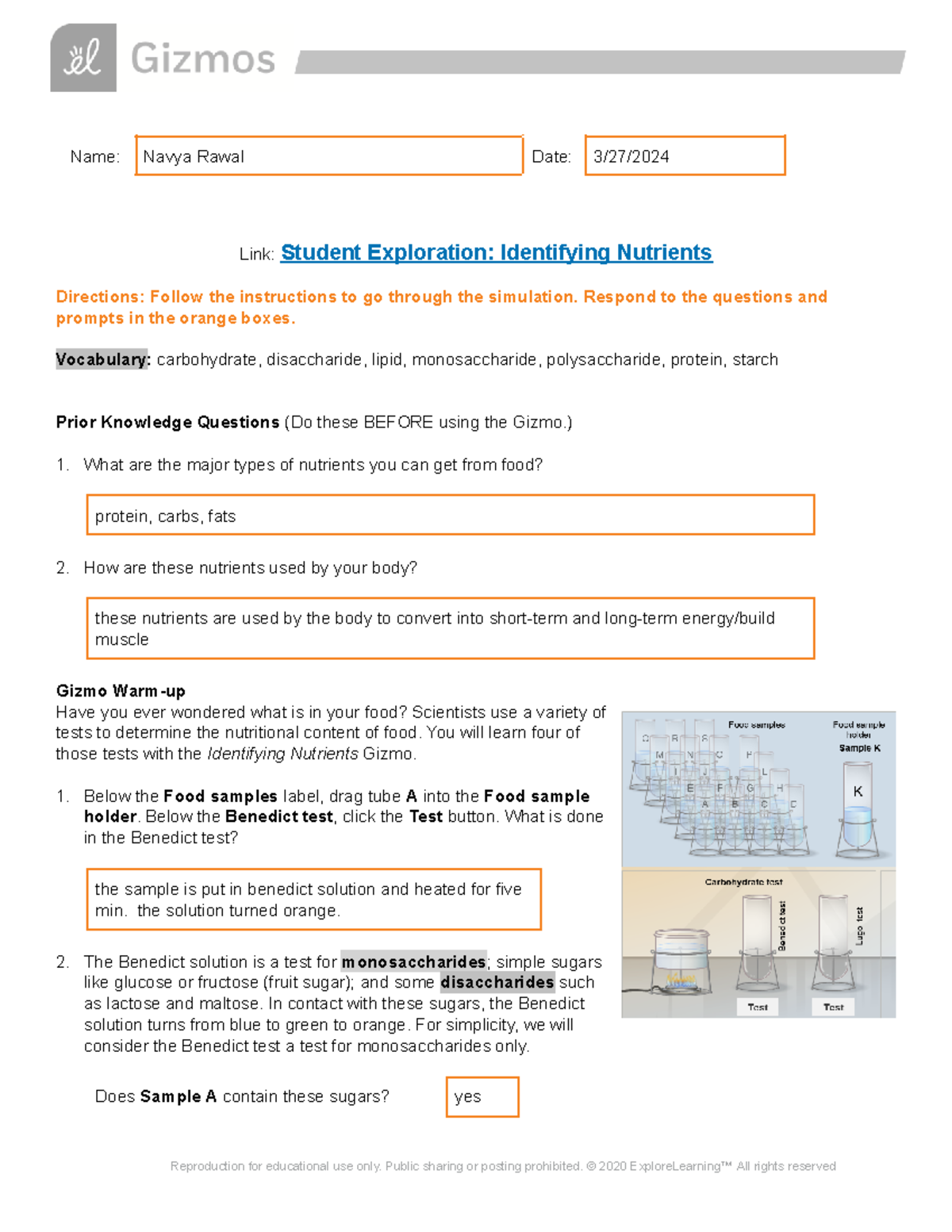 Navya Rawal Macromolecule Indicator Lab Identifying Nutrients Name