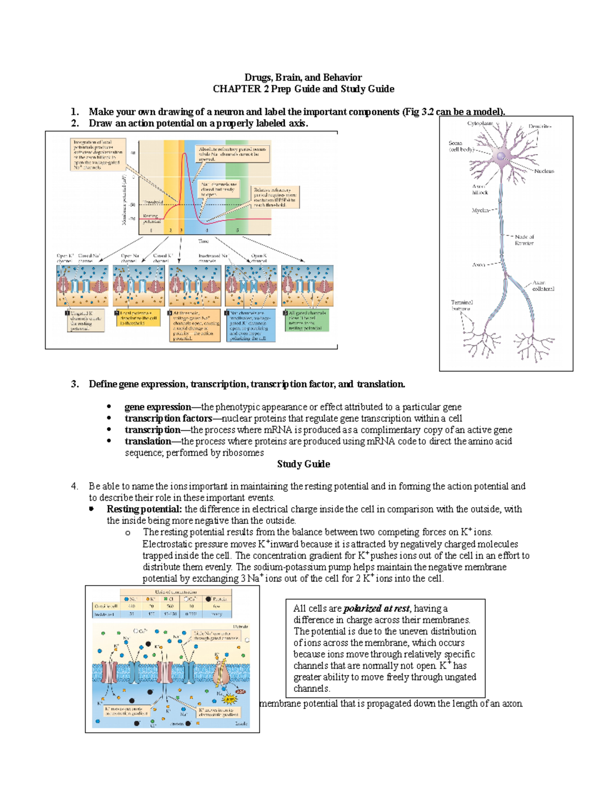 Drugs, Brain And Behavior Ch. 2 Study Guide - Drugs, Brain, And ...