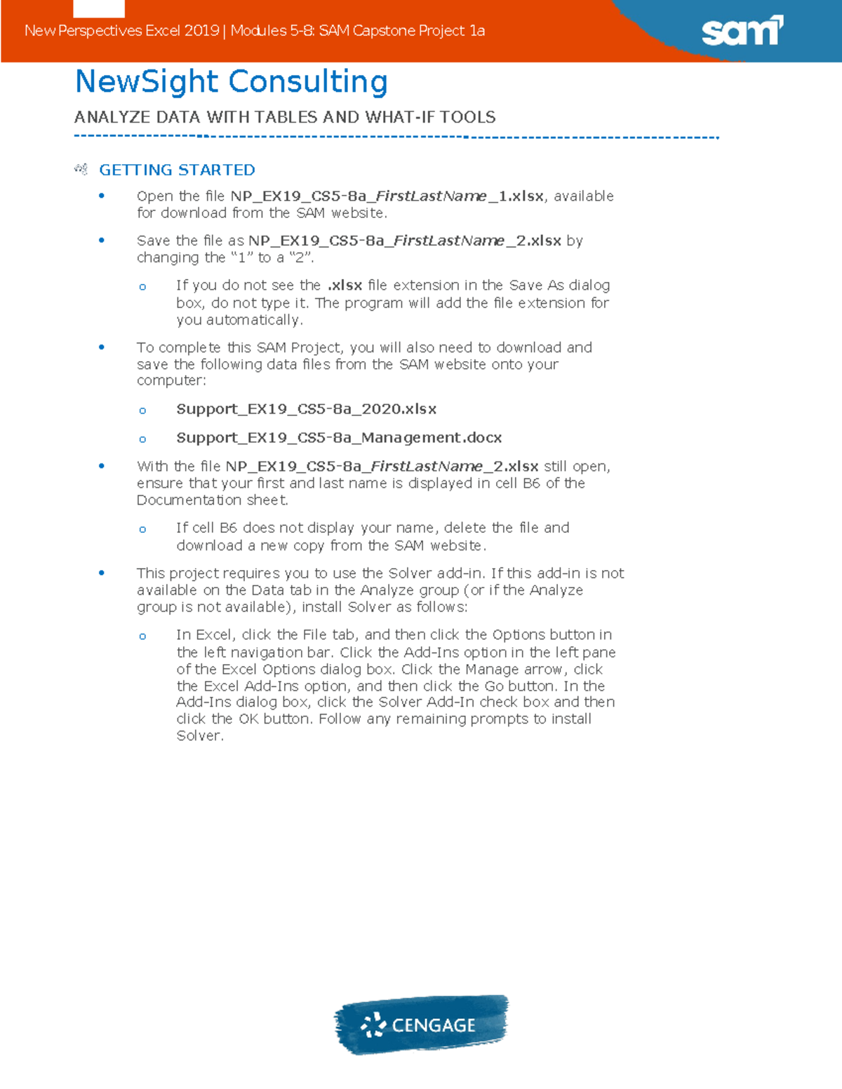 Instructions NP EX19 CS5-8a - NewSight Consulting ANALYZE DATA WITH ...