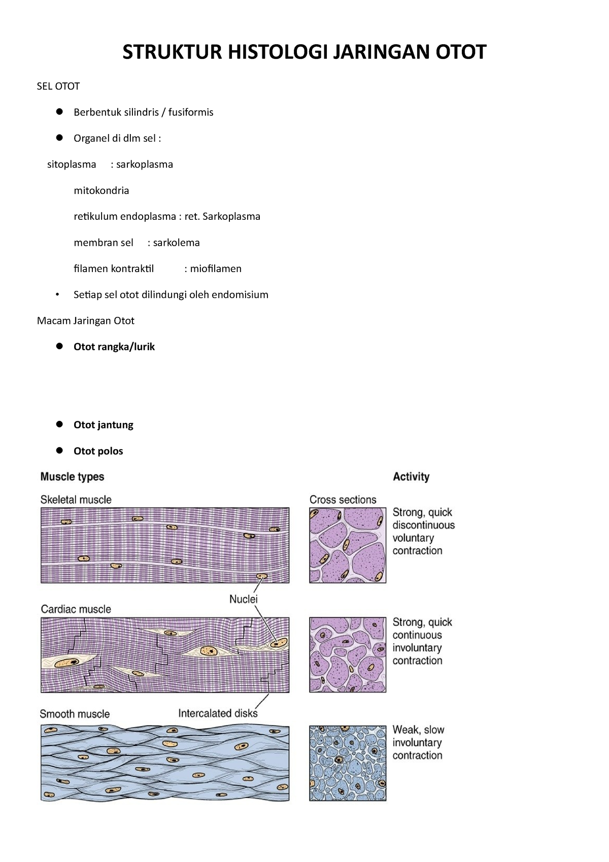 Struktur Histologi Jaringan Otot Struktur Histologi Jaringan Otot Sel