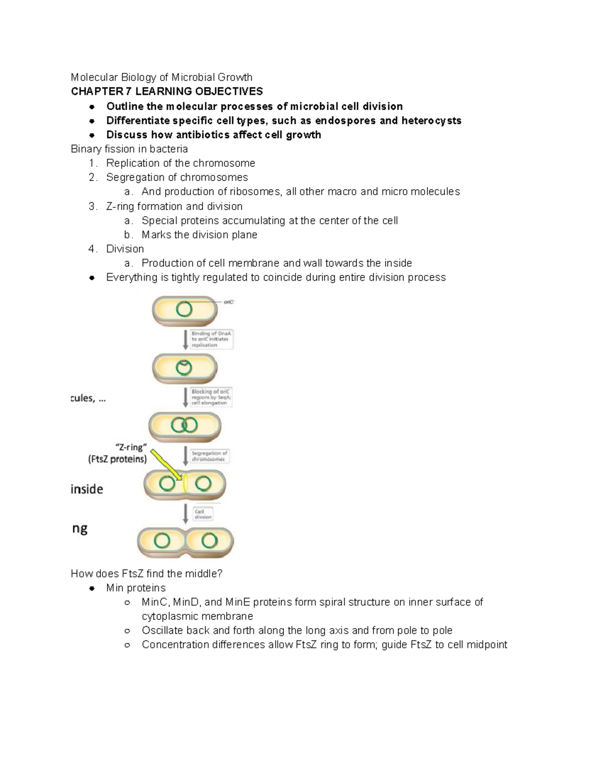 Notes Chapter 7 - Molecular Biology of Microbial Growth CHAPTER 7 ...