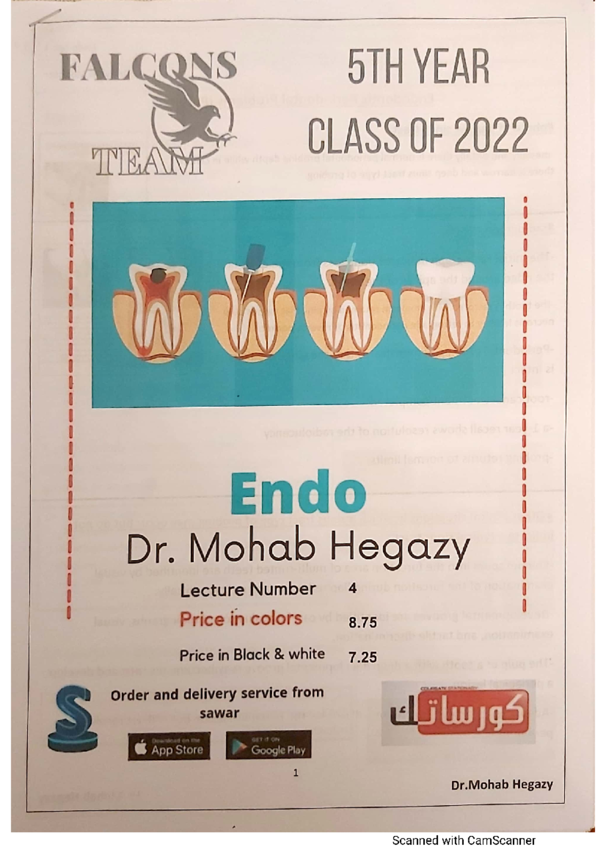 Endo 4 dental anatomy Studocu