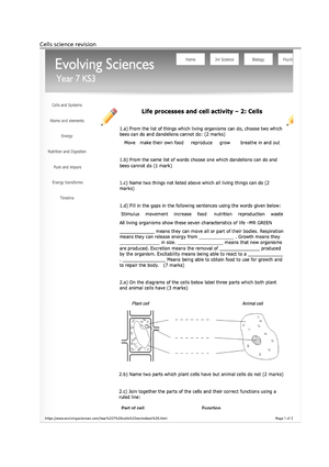 chromatography assignment btec