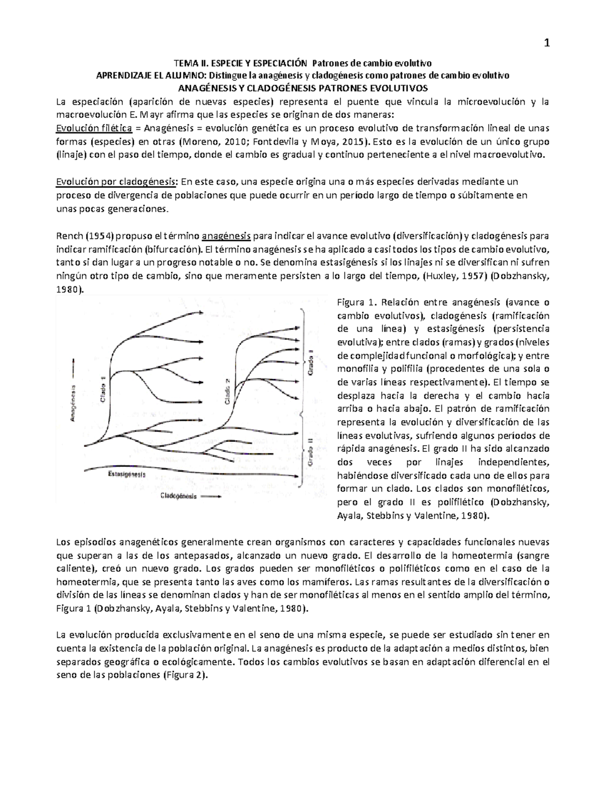 Anagenesis cladogenesis - TEMA II. ESPECIE Y ESPECIACIÓN Patrones de ...