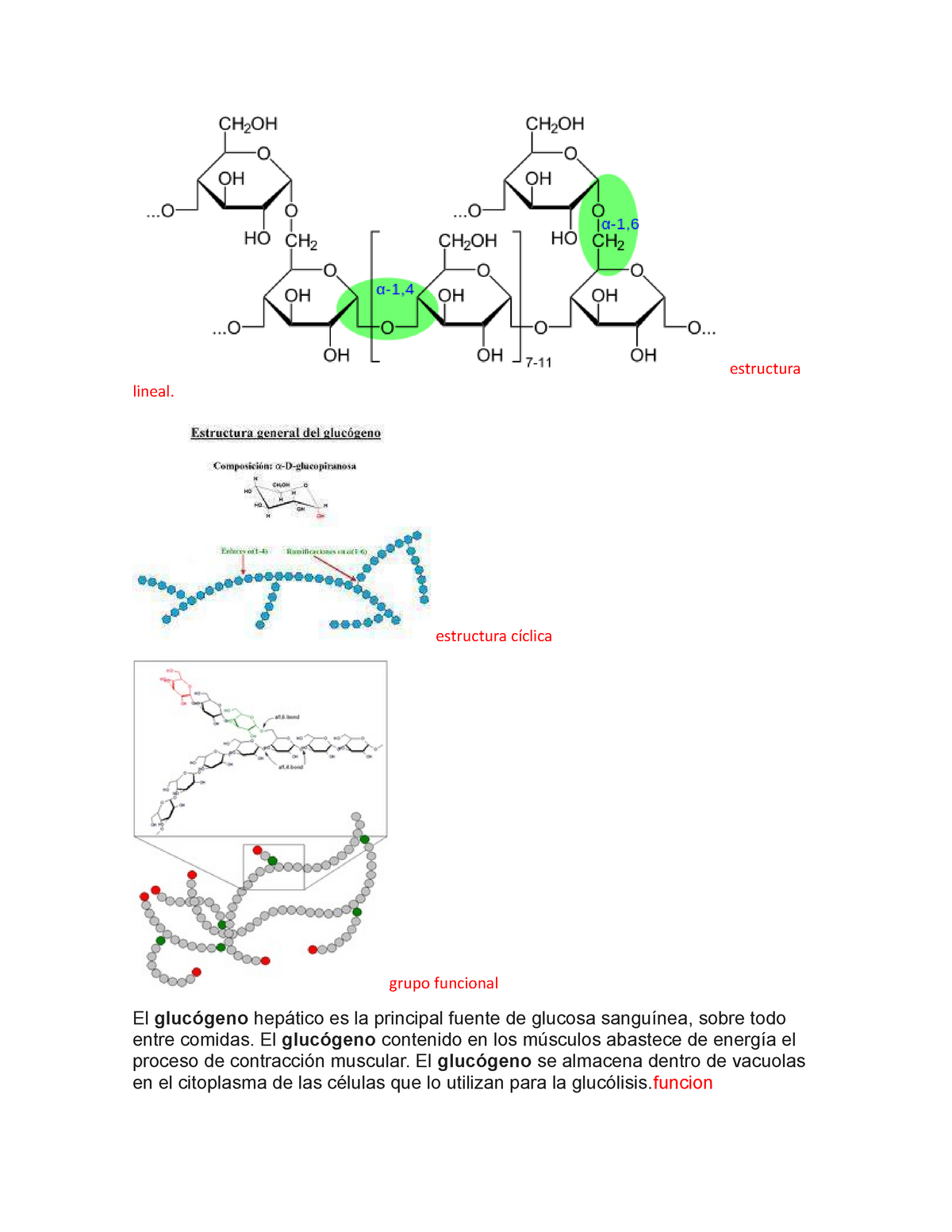 estructura cíclica de arabinosa