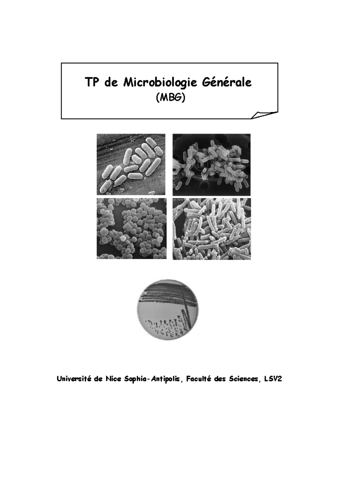 TP du mecrobiologie - TP de Microbiologie Générale (MBG) Université de ...