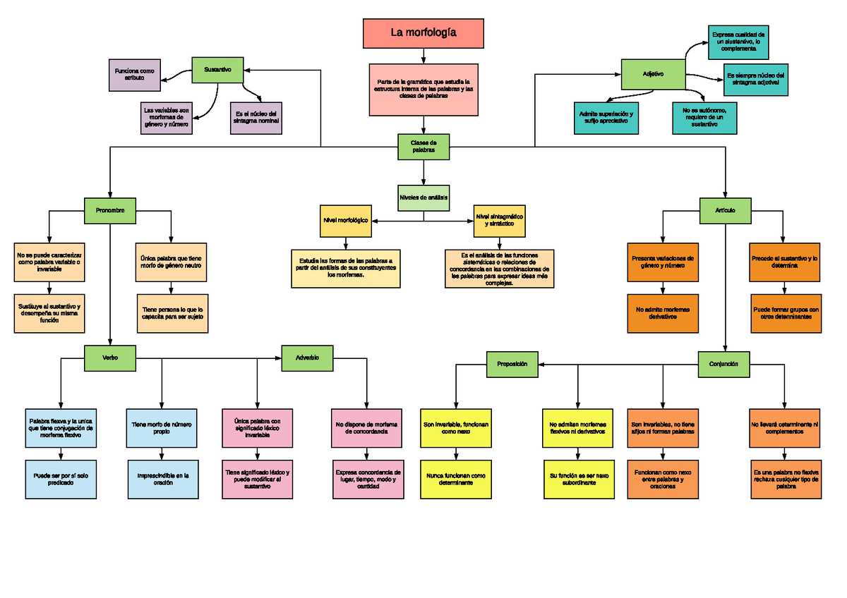 Mapa Conceptual De La Morfologia Y Sus Clases Brainlylat Images Porn Sex Picture 8076