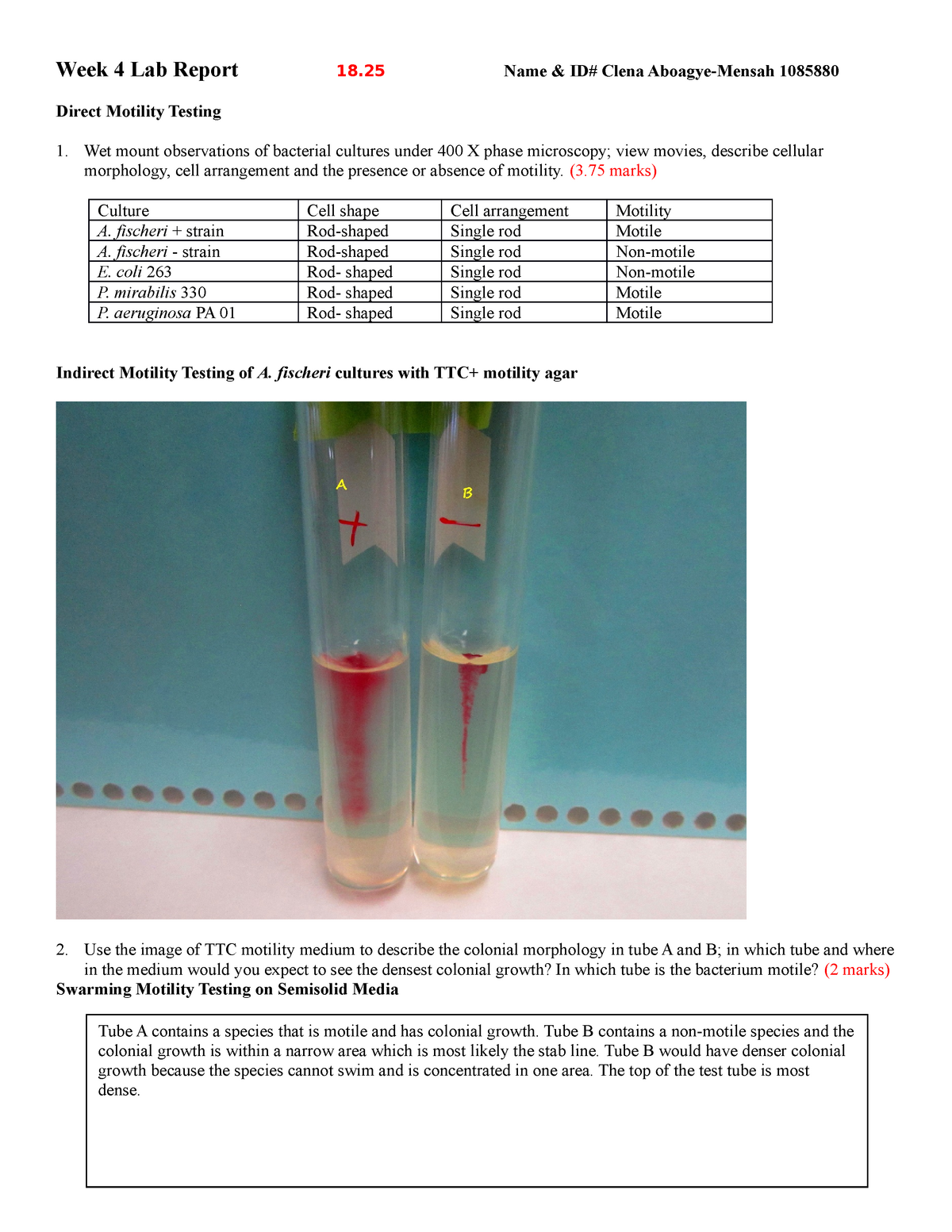 Micr24 Lab Report Week 4 Studocu