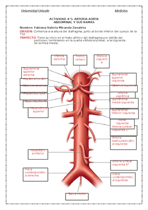 arteria lumbar