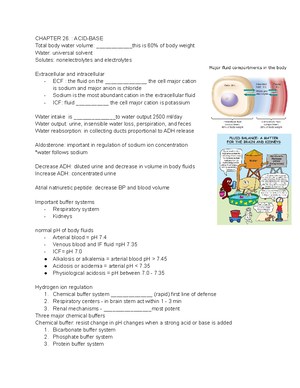 Lecture Notes For Principle Of Accounting - ACCT 2301 - Studocu