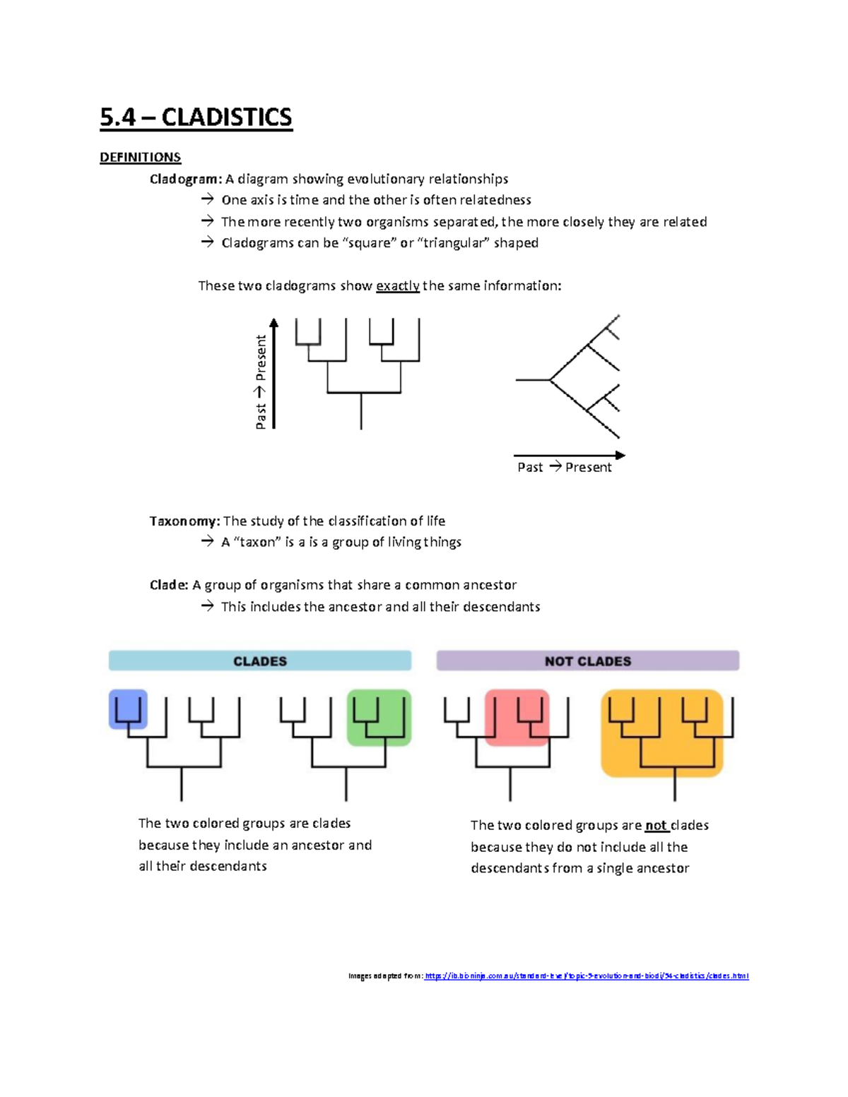 5 - 5.4 Summary Notes - 5 – CLADISTICS DEFINITIONS Cladogram: A Diagram ...