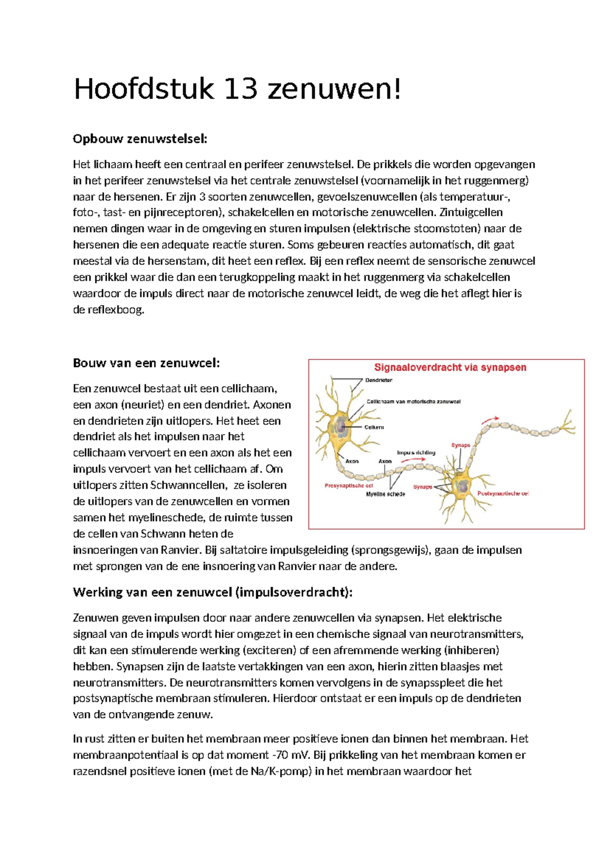 Samenvatting Zenuwstelsel H Volgens Syllabus Hoofdstuk Zenuwen Opbouw Zenuwstelsel Het