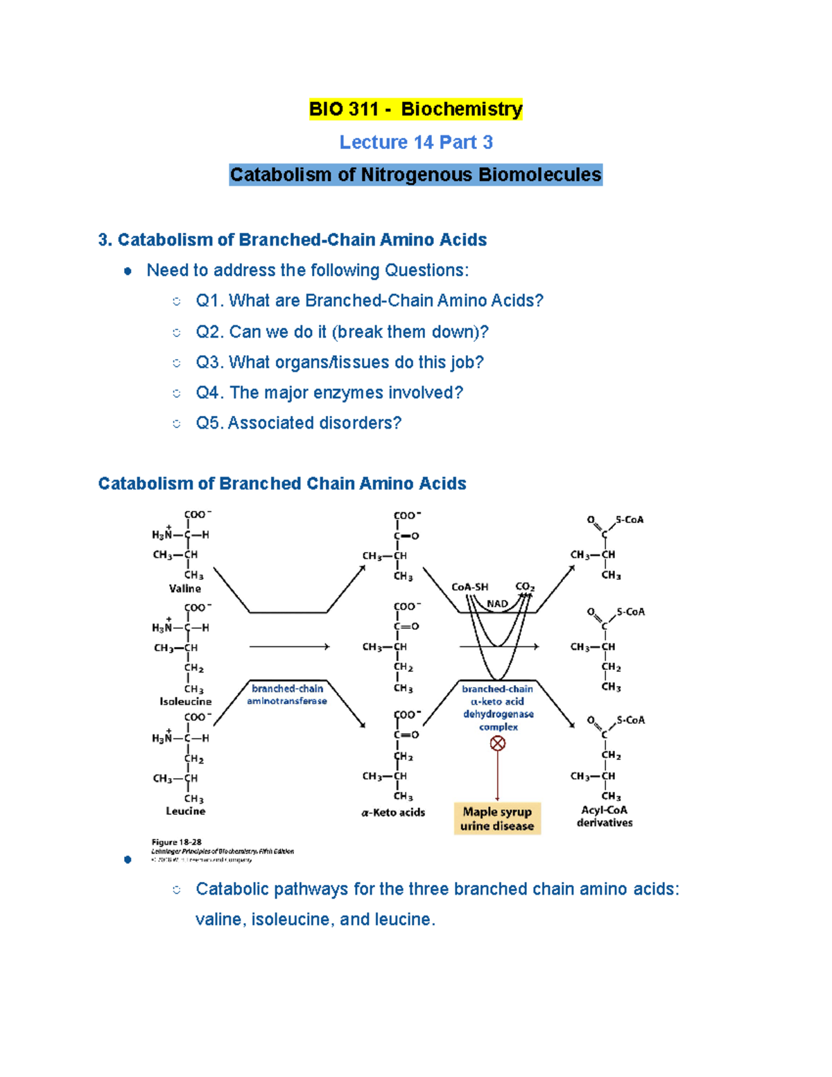 BIO 311 Lecture 14 Part 3 Fall 2020 - BIO 311 - Biochemistry Lecture 14 ...