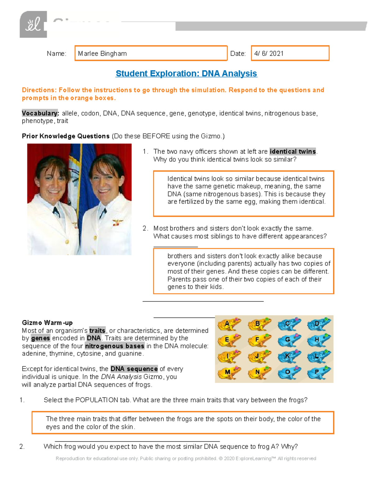 DNA Analysis Knmm Name Marlee Bingham Date 4 6 2021 Student