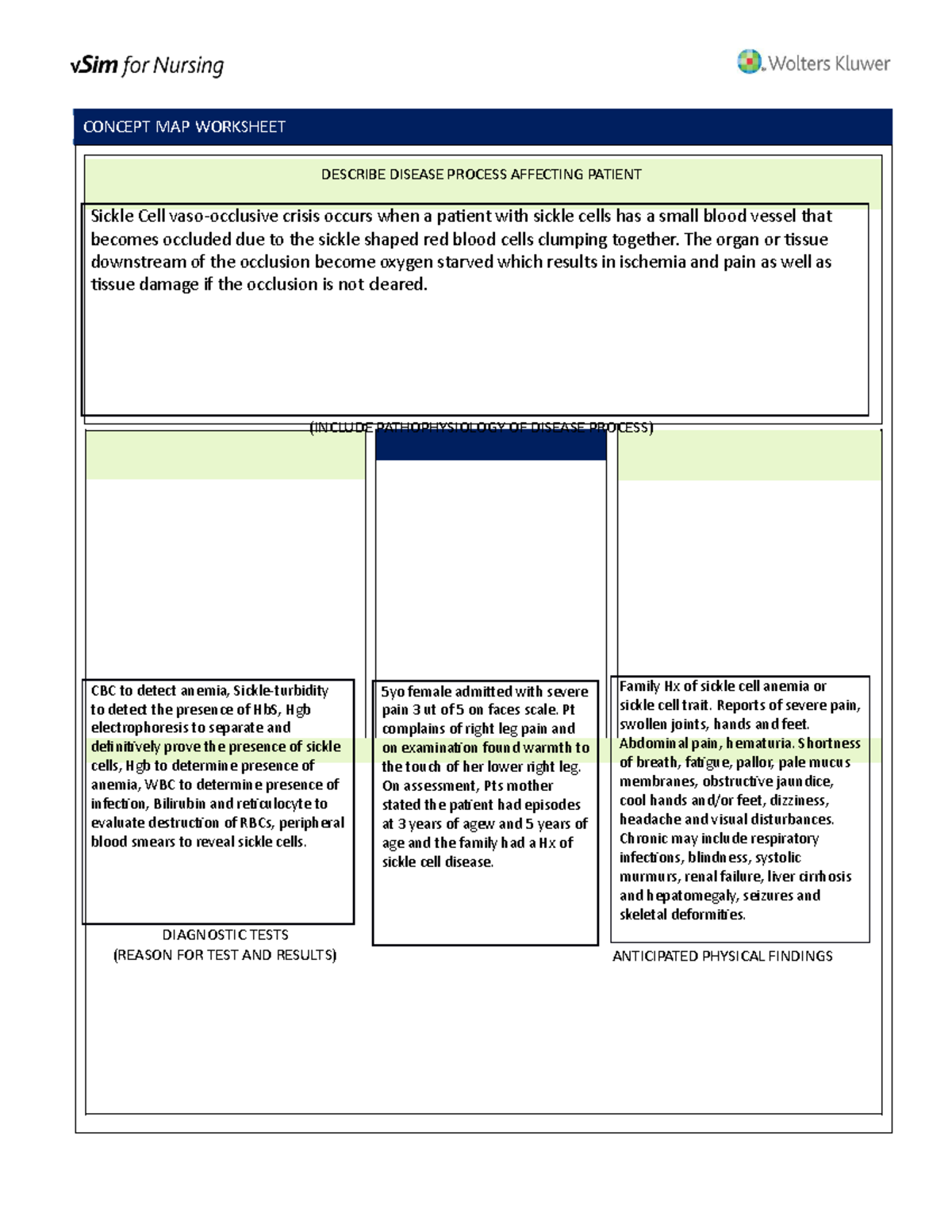 Brittany Long Care Plan - CONCEPT MAP WORKSHEET DESCRIBE DISEASE ...