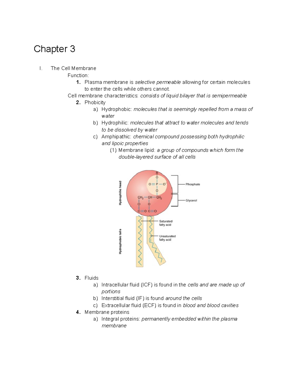 Chapter 3 Assignment - If Needed - Chapter 3 I. The Cell Membrane ...