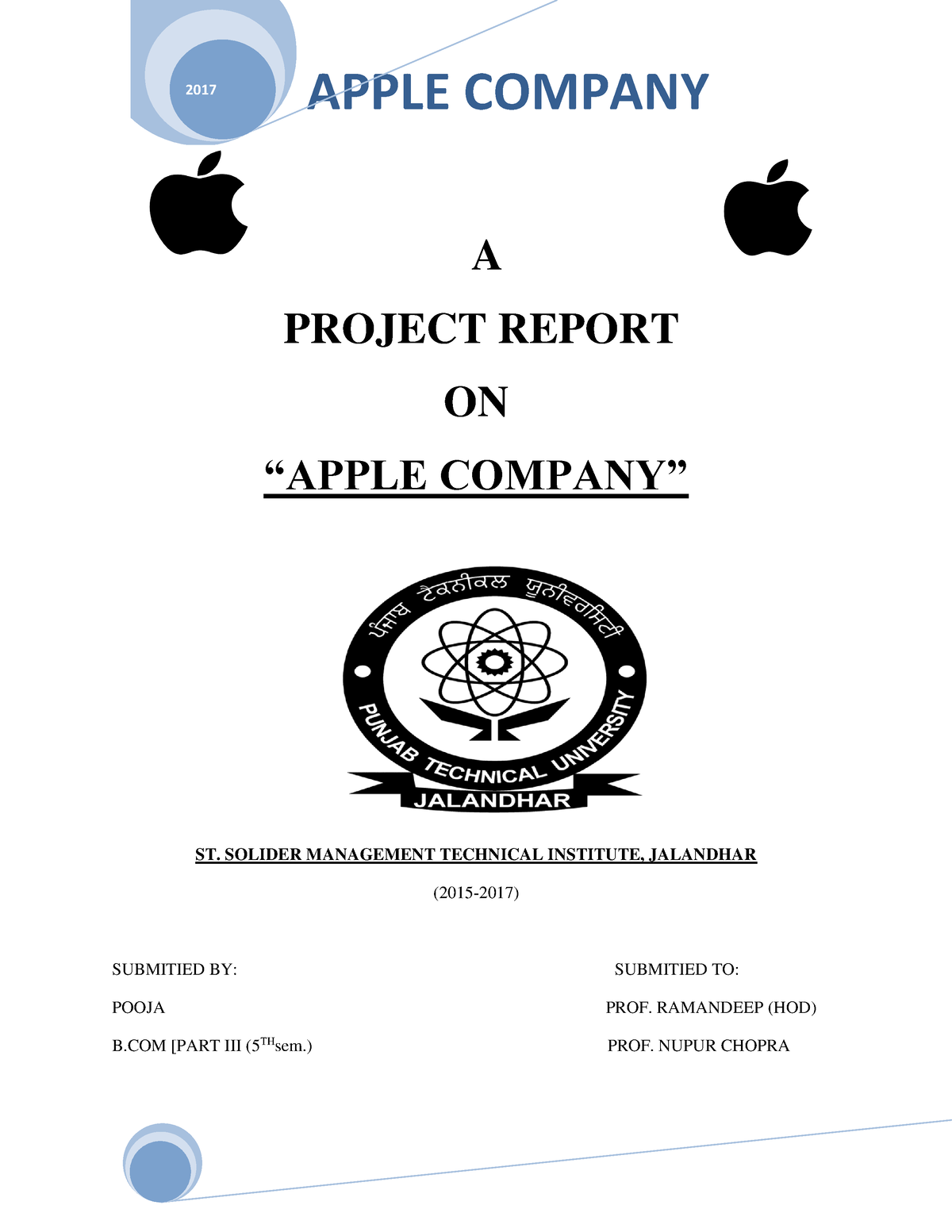 assignment about apple company