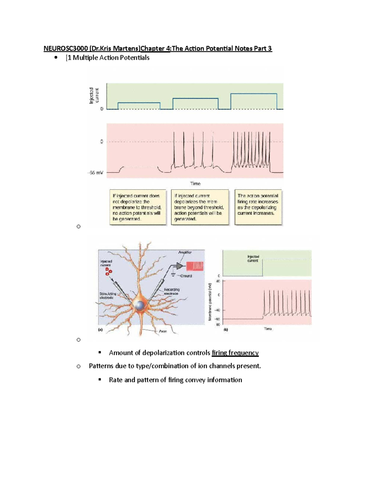 Neurosc 3000 (Dr.Kris Martens)Chapter 4-The Action Potential Notes Part ...