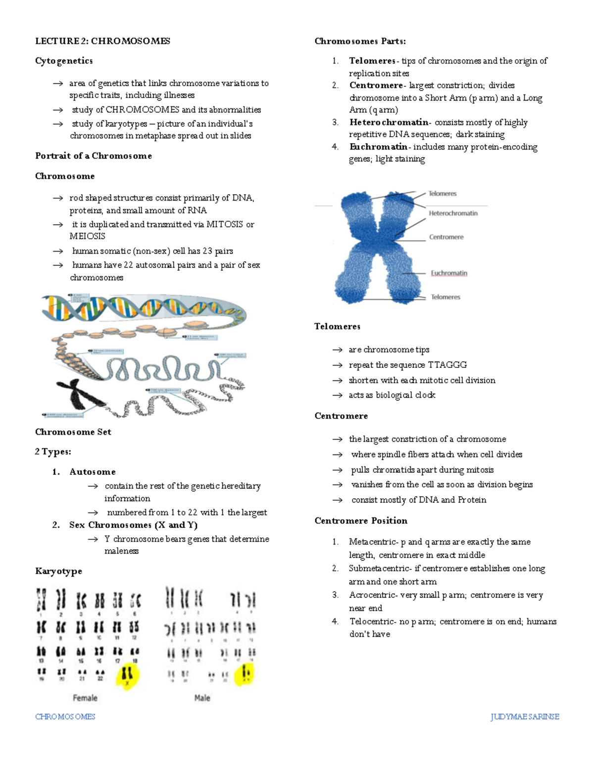 Lecture 2 Chromosomes Reviewer - CHROMOSOMES JUDYMAE SARINSE LECTURE 2 ...