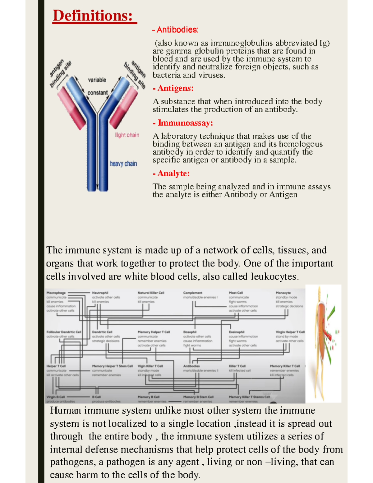 Immunochemistry Medical Biology Definitions Antibodies (also