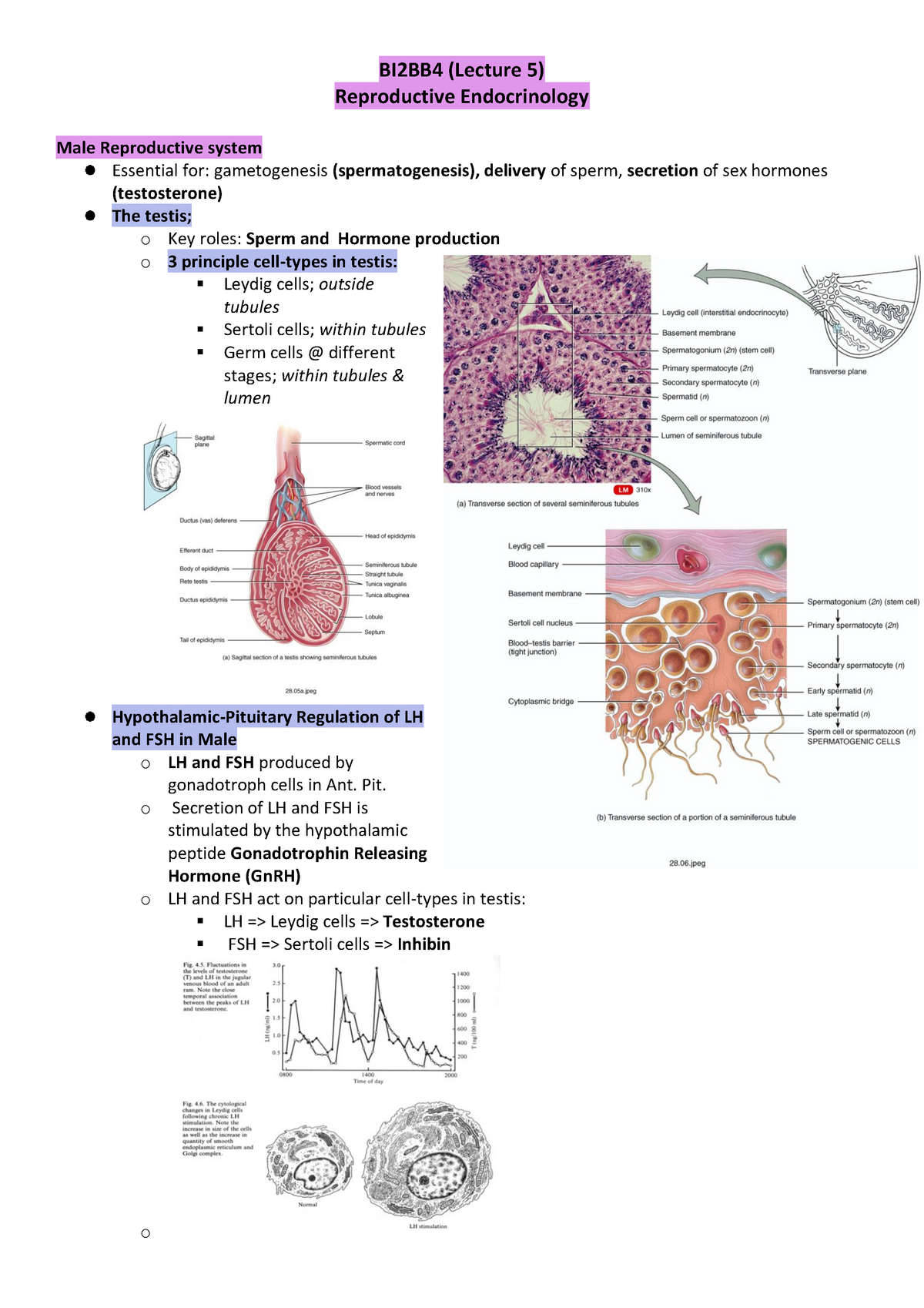 Reproductive Endocrinology Warning Tt Undefined Function 32 Warning Tt Undefined Function 