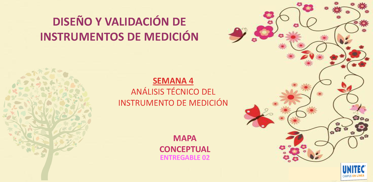 Entregable 02 Mapa Conceptual Fyi Dise—o Y Validaci”n De Instrumentos