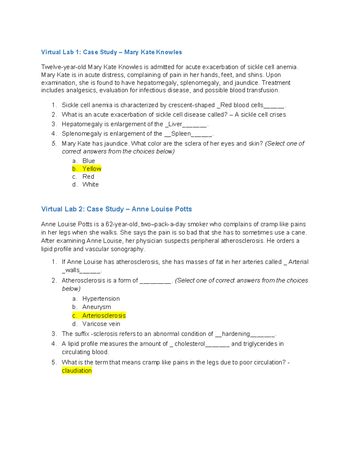 virtual lab 1 case study