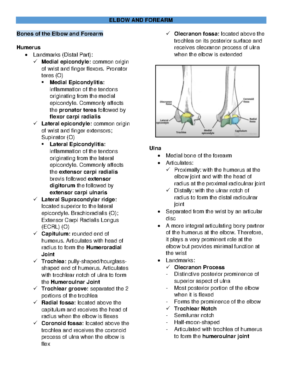 Elbow AND Forearm Anatomy - ELBOW AND FOREARM Bones of the Elbow and ...