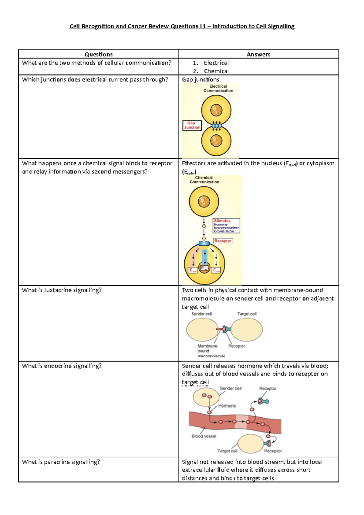 L1 Cell Signalling (Answers) - Cell Recognition and Cancer Review ...