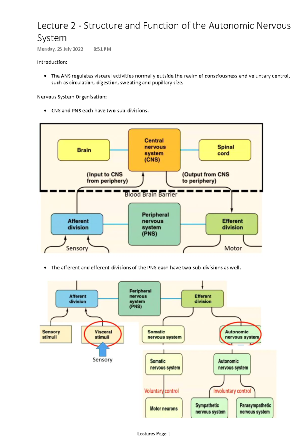 Structure and Function of the Autonomic Nervous System - Introduction ...