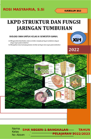 Modul Materi Jaringan Tumbuhan Struktur Dan Fungsi Jaringan Tumbuhan Modul