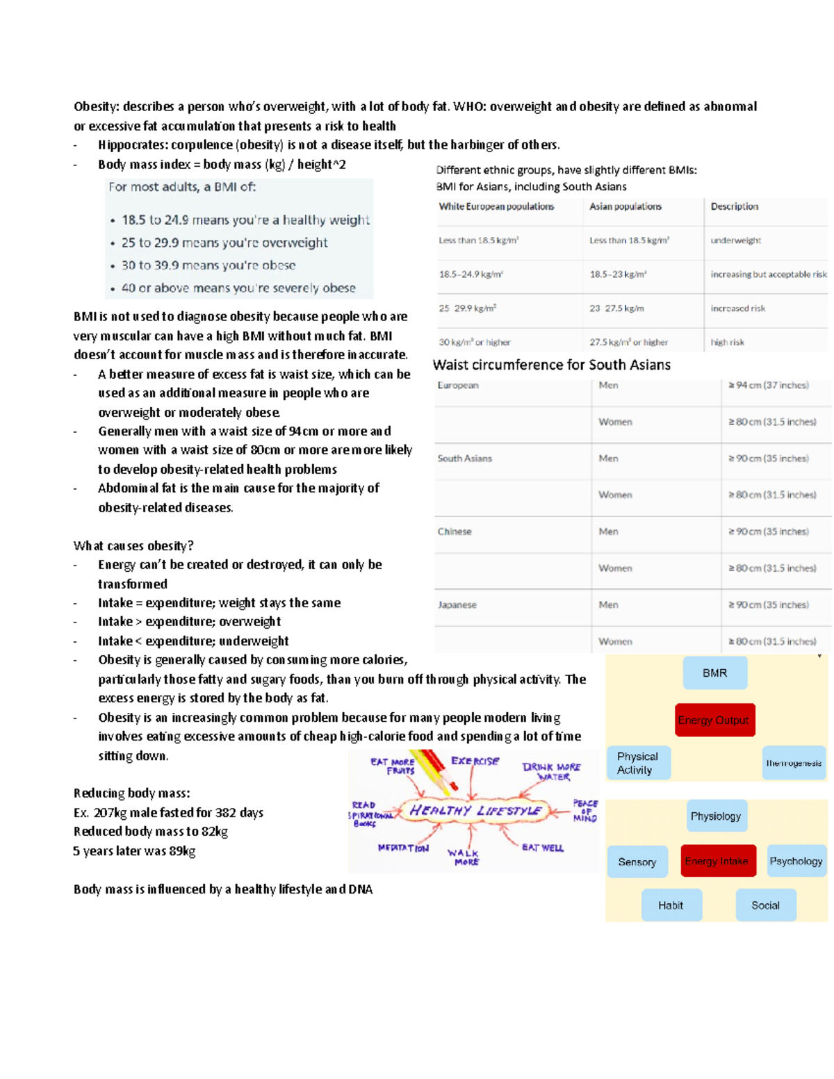 Obesity: Cardiovascular Diseases, Diabetes, Metabolic Syndrome ...