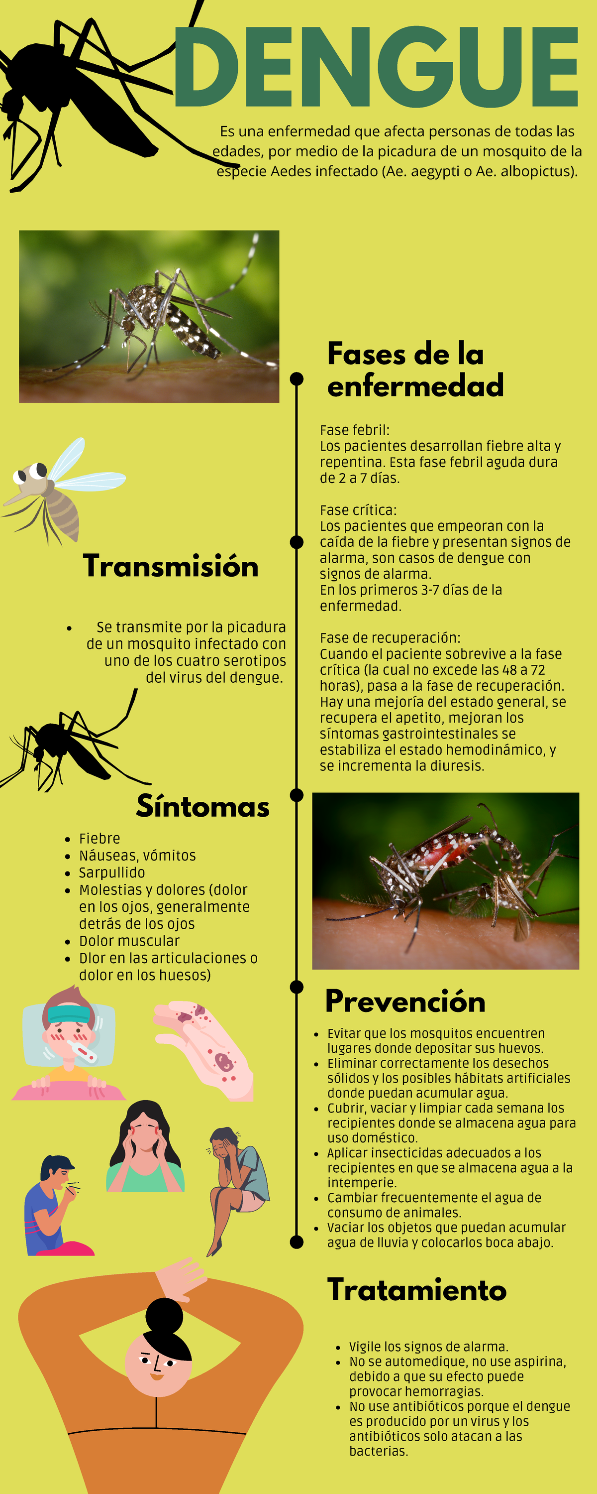 Dengue Dengue Fase Febril Los Pacientes Desarrollan Fiebre Alta Y Repentina Esta Fase Febril