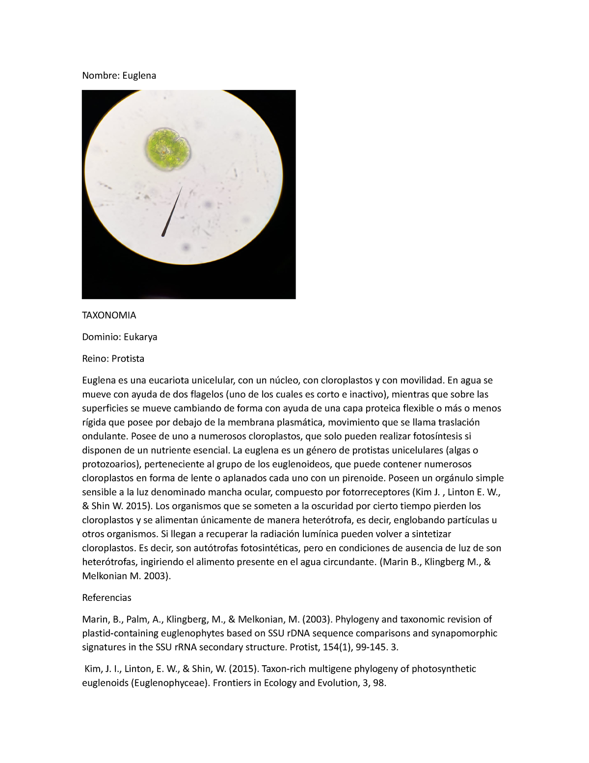 reino protista euglena