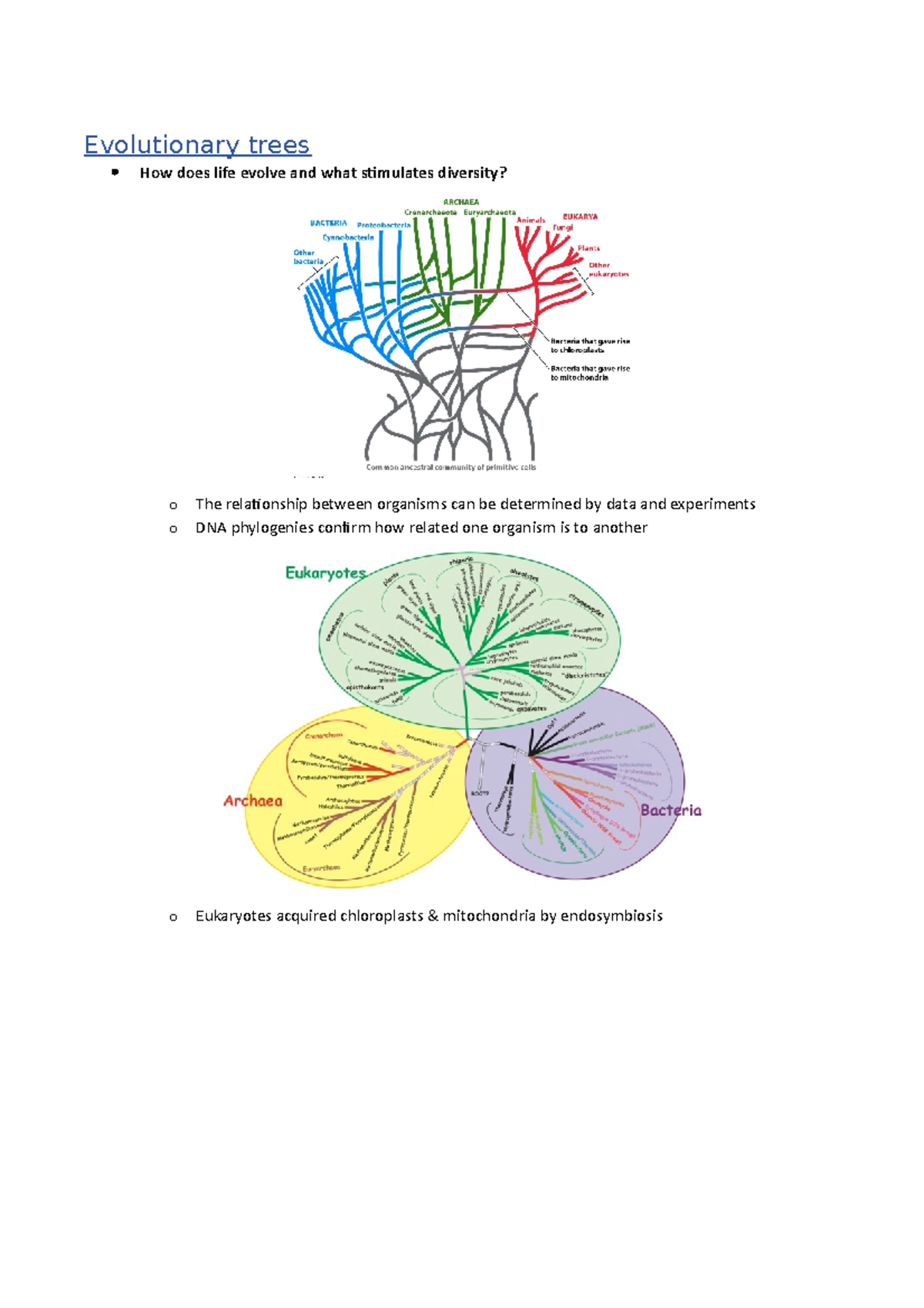 Origin of plants - Lecture notes 1 - Evolutionary trees How does life ...