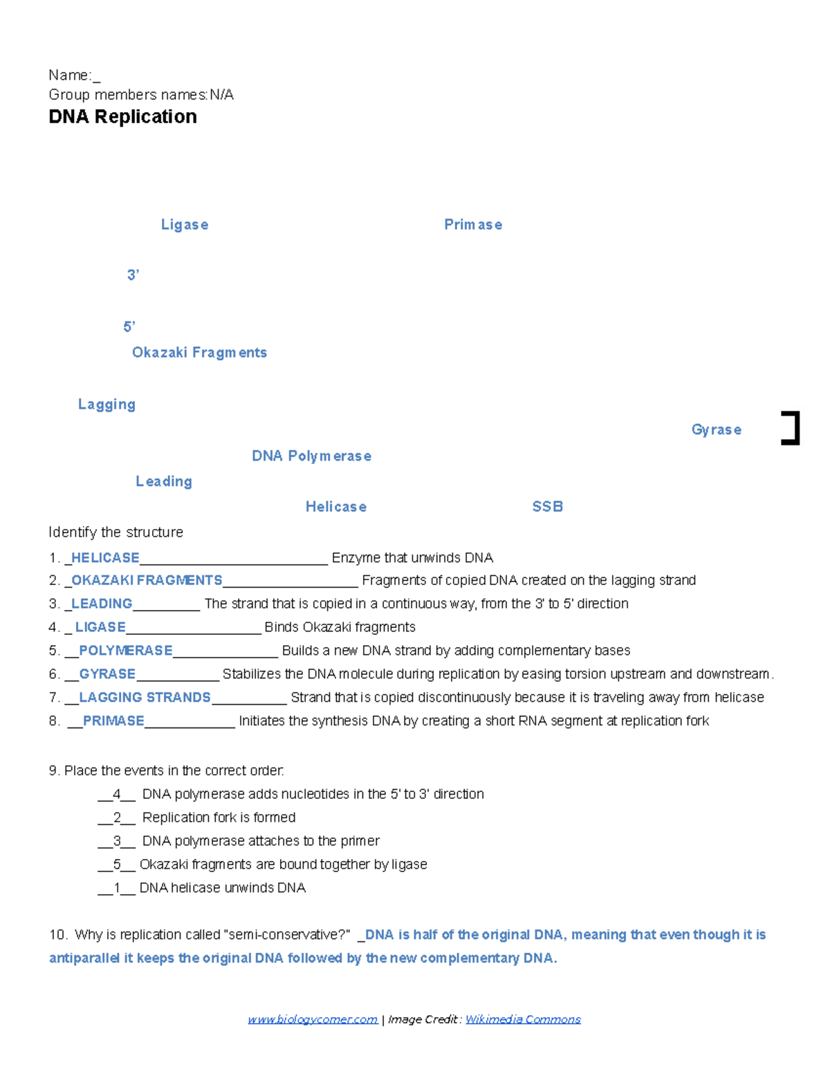 DNA Replication - Labeling - Name:_ Group members names:N/A DNA ...
