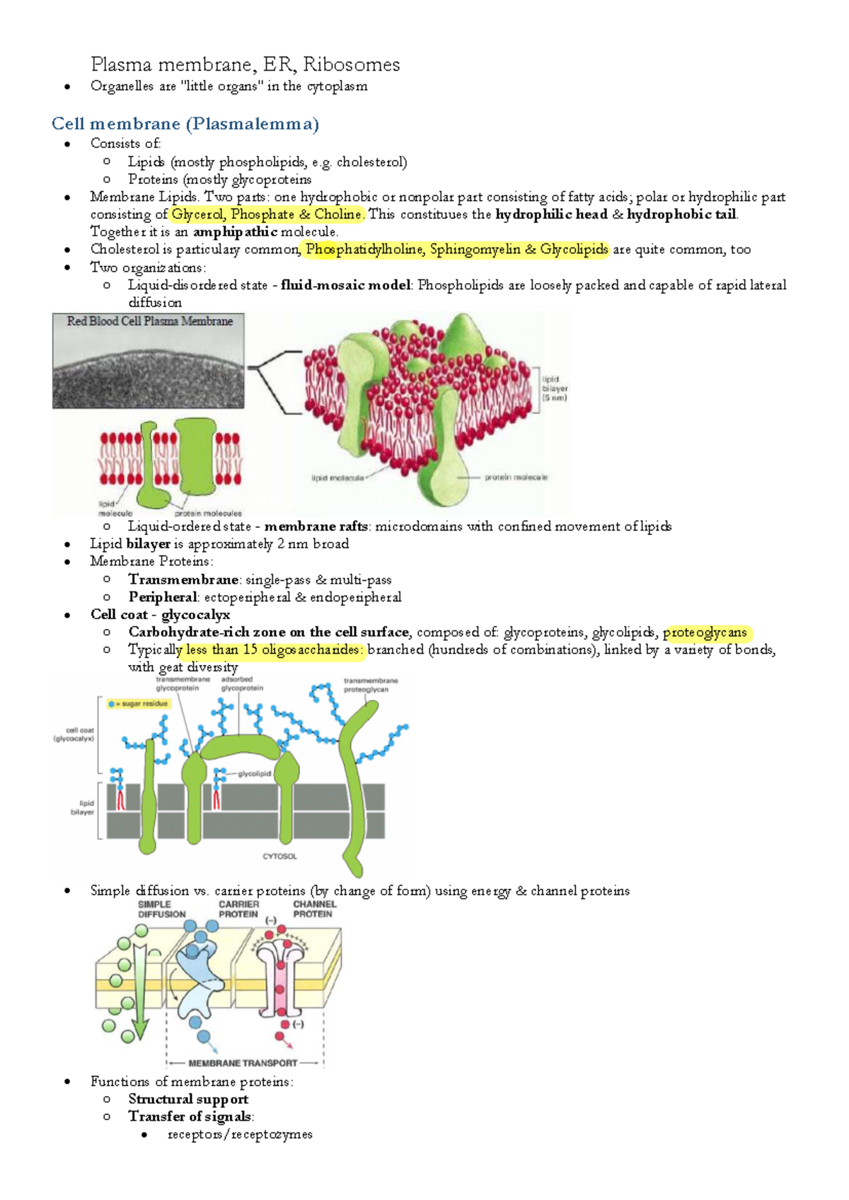 Cell m - Guvyvb - Plasma membrane, ER, Ribosomes Organelles are 
